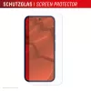 Grūdintas stiklas Google Pixel 10 su dėklu e.v.i. (DISPLEX Real Glass + Case)