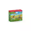 Schleich Pony Agility treniruotės rinkinys, įvairiaspalvis, plastikinis