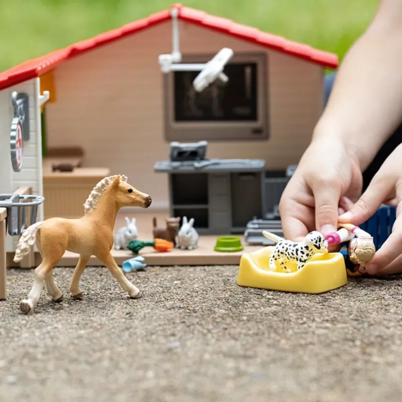 schleich Veterinarijos praktika su gyvūnais, Ūkis, Ūkio gyvūnai / ūkio žaislai, 3 m., Įvairiaspalvis