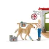 schleich Veterinarijos praktika su gyvūnais, Ūkis, Ūkio gyvūnai / ūkio žaislai, 3 m., Įvairiaspalvis