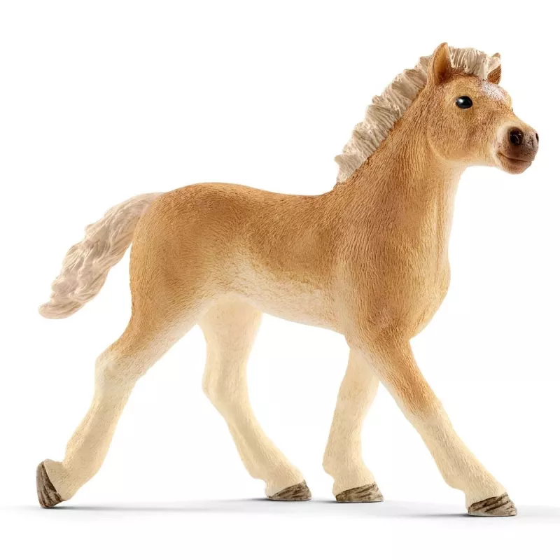 schleich Veterinarijos praktika su gyvūnais, Ūkis, Ūkio gyvūnai / ūkio žaislai, 3 m., Įvairiaspalvis