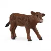 Schleich FARM WORLD Happy Cow Wash rinkinys