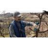 Bosch Pro Pruner Professional belaidė žoliapjovė 2,5 cm 12 V Ličio jonų (Li-Ion) Juoda, Mėlyna