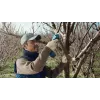 Bosch Pro Pruner Professional belaidė žoliapjovė 2,5 cm 12 V Ličio jonų (Li-Ion) Juoda, Mėlyna