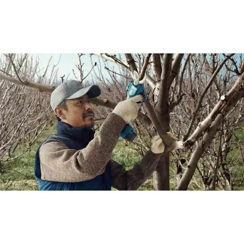 Bosch Pro Pruner Professional belaidė žoliapjovė 2,5 cm 12 V Ličio jonų (Li-Ion) Juoda, Mėlyna