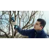 Bosch Pro Pruner Professional belaidė žoliapjovė 2,5 cm 12 V Ličio jonų (Li-Ion) Juoda, Mėlyna