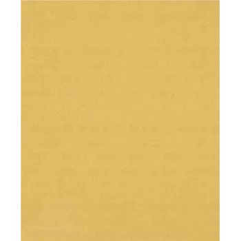 Rankinis šlifpopierius Bosch EXPERT C470, 2 608 900 963, 280 x 230 mm, grūdėtumas 180, 50 vnt.