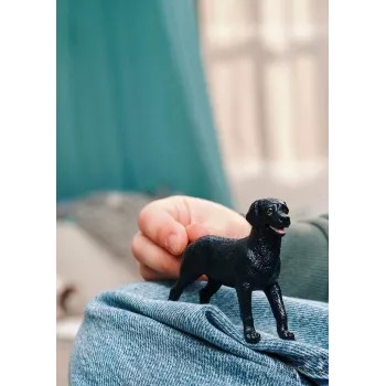 Schleich 14922 vaikiška figūrėlė