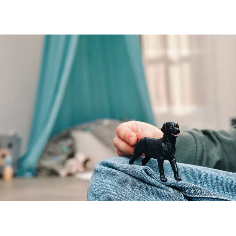 Schleich 14922 vaikiška figūrėlė
