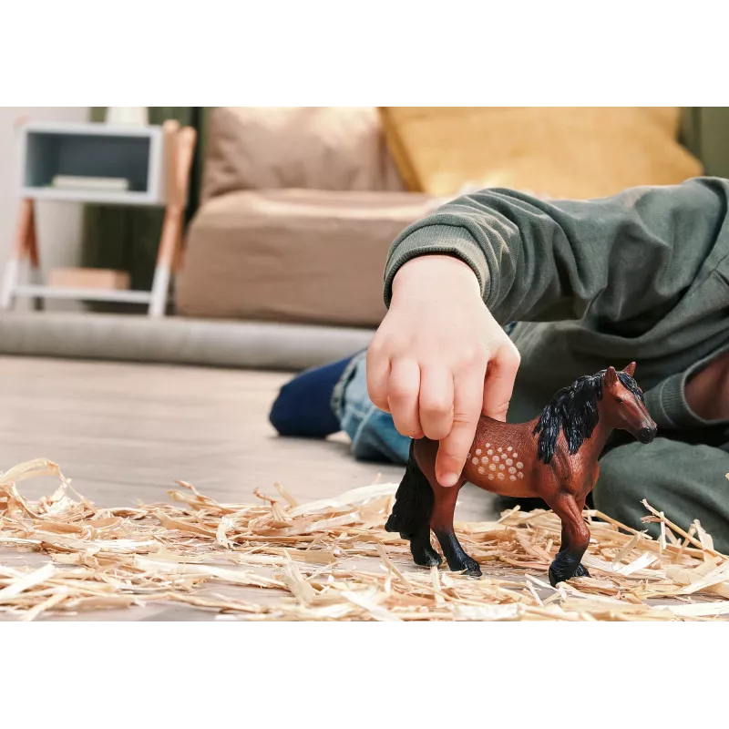 Schleich FARM WORLD 14927 vaikiška figūrėlė