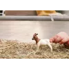 Schleich FARM WORLD 14929 vaikiška figūrėlė ūkio gyvūnas