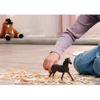 Schleich 14914 vaikiška figūrėlė