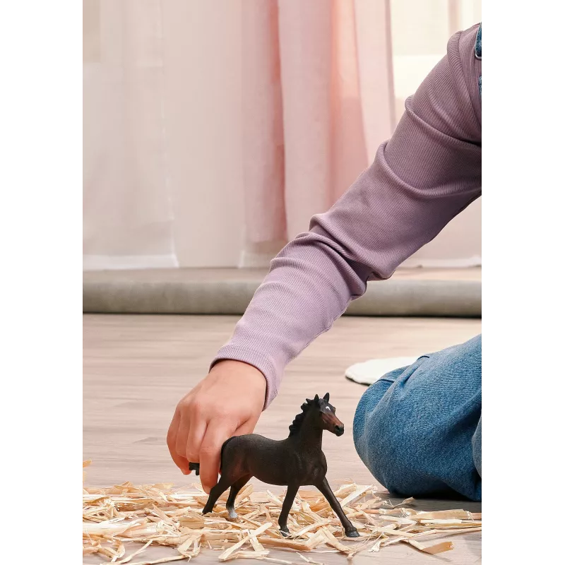 Schleich 14914 vaikiška figūrėlė