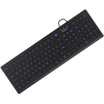 Pramoninė klaviatūra KeySonic KSK-8031INEL-B (DE) USB QWERTZ juoda