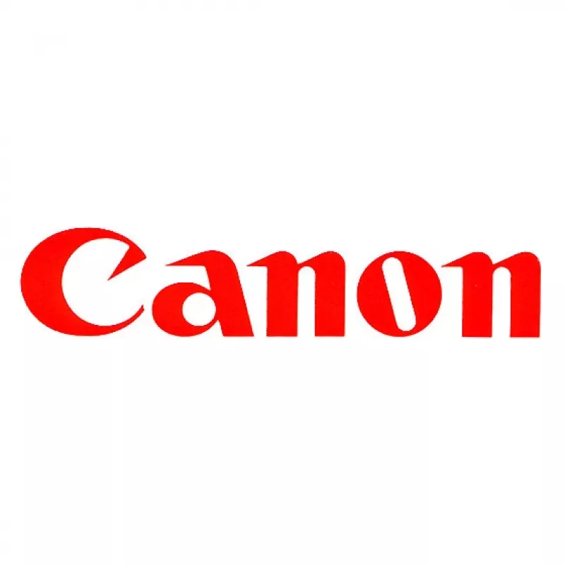 Canon C-EXV21 originalus kasetė