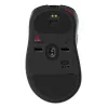 ZOWIE EC3-DW pelė žaidimams, dešinei rankai, USB Type-A, optinė, 3200 DPI