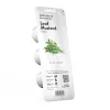 Vazonas EMSA Click & Grow