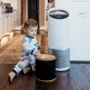 Leitz Odour and VOC 3-in-1 HEPA filtro būgnas, tinka TruSens Z-3000 / Z-3500 dideliam oro valytuvui