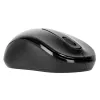 Targus AMW060EU pelė kelioninė Ambidextrous RF Wireless Optinė 1600 DPI