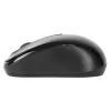 Targus AMW060EU pelė kelioninė Ambidextrous RF Wireless Optinė 1600 DPI