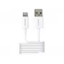 2-Power 2PUC1M02W mobiliojo įrenginio kroviklis Baltas