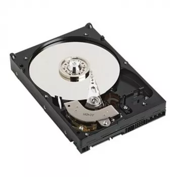 DELL GPP3G vidinis kietasis diskas 1 TB 7200 RPM 3.5 colio NL-SAS