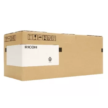 Ricoh D1446207 atsarginė dalis / priedas 1 vnt.