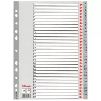 Esselte rodyklė 1-31 PP A4 pilka