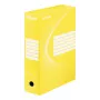 Esselte archyvinė dėžė Vivida FSC® BOXY 100 mm, geltona, A4, gulsčias/vertikalus, 100 mm, 352 mm, 250 mm