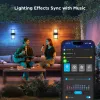 Govee H7078CD1 išmanus lauko sieninis šviestuvas su RGB spalvų keitimu, Wi‑Fi / išmanus valdymas