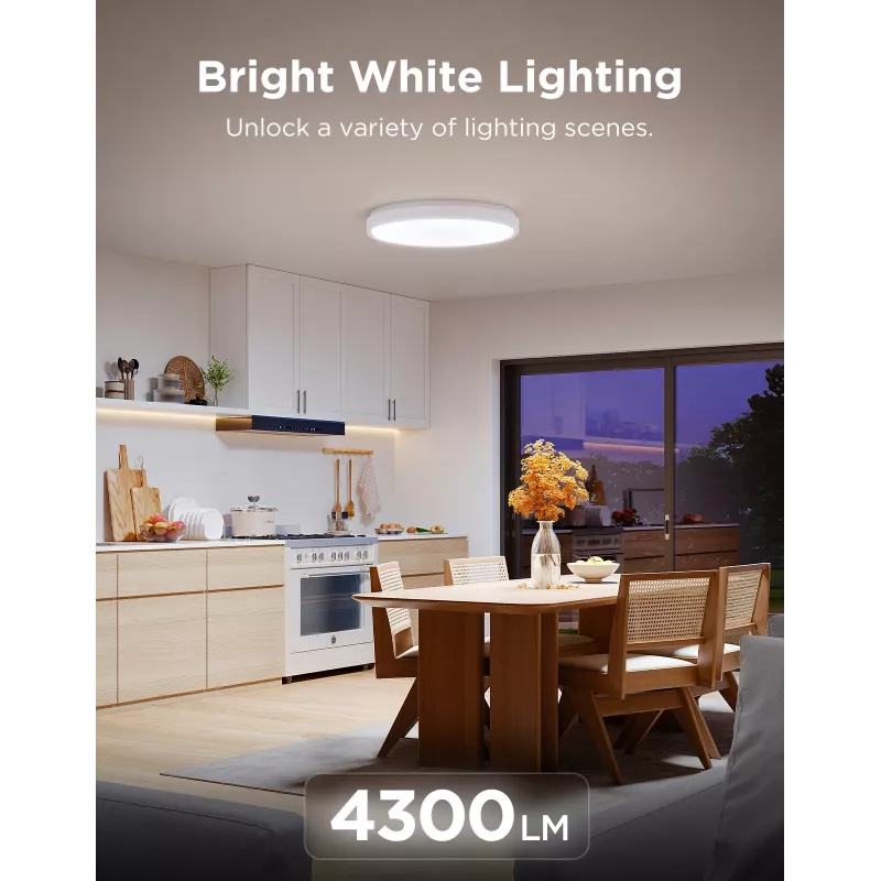Govee H60A6 Smart Ceiling Light Pro RGBICWW lubinis šviestuvas, 38 cm