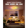 Govee H60A6 Smart Ceiling Light Pro RGBICWW lubinis šviestuvas, 38 cm