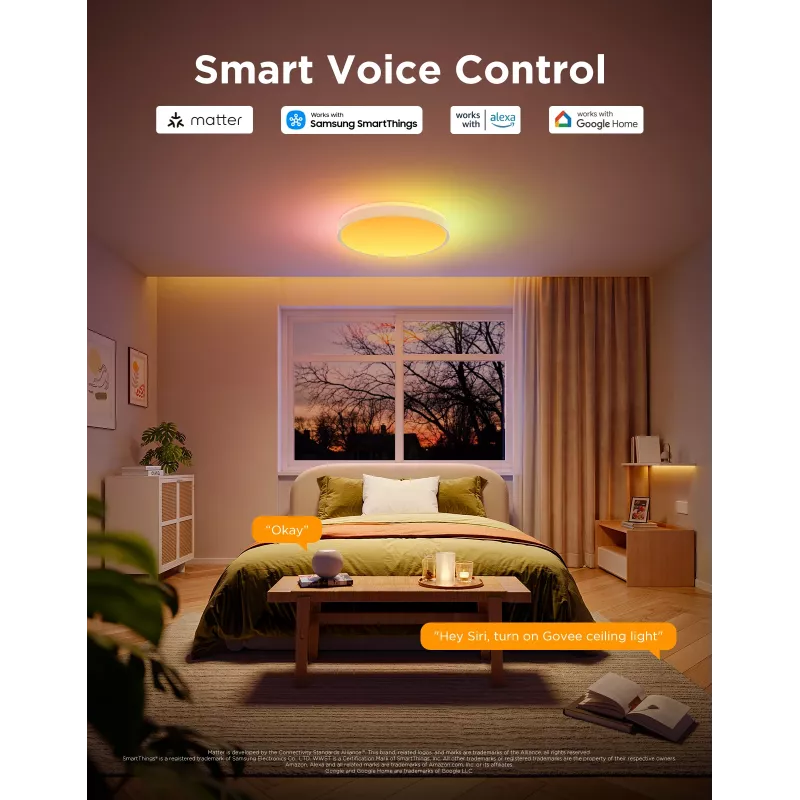 Govee H60A6 Smart Ceiling Light Pro RGBICWW lubinis šviestuvas, 38 cm