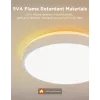 Govee H60A6 Smart Ceiling Light Pro RGBICWW lubinis šviestuvas, 38 cm