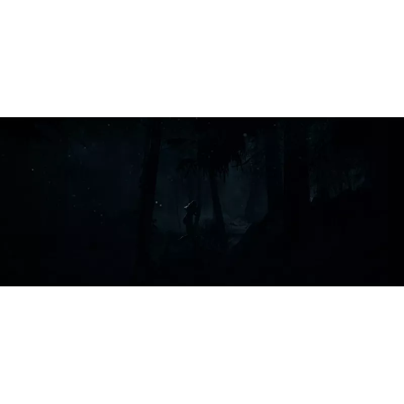 Sony Until Dawn Standartinis Daugiakalbis PlayStation 5
