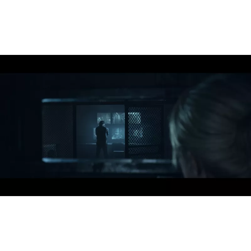 Sony Until Dawn Standartinis Daugiakalbis PlayStation 5