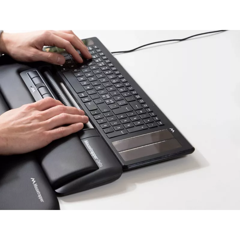 Mousetrapper Delta pelė juoda Regular USB-A
