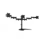 Monitorų stovas MULTIBRACKETS M Deskstand Basic Triple — 3 vietų, VESA 75x75–100x100, iki 24 kg, 15–27 colių ekranams, juodas