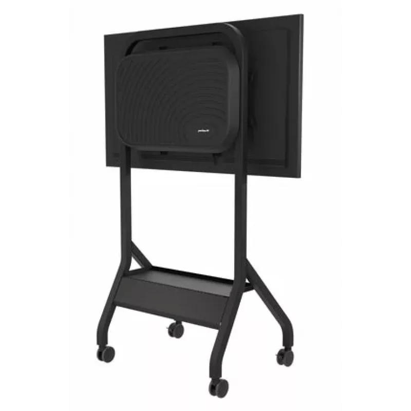 Peerless SR898-EUK mobilus stovas ekranui 2,79 m (110 col.) juodas