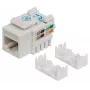 Intellinet Keystone Jack, Cat6, UTP, Punch-down, Baltas, Plokščias, RJ-45, Moteriška, 22/26 AWG