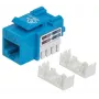 Intellinet Keystone Jack, Cat6, UTP, Punch-down, Mėlynas