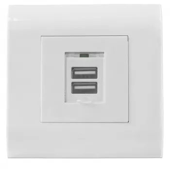 Intellinet sieninis lizdas su 2 USB-A prievadais ir apsauginiu dangteliu, 5 V / 2,1 A, 80 x 80 europietiškas rėmelis