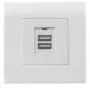 Intellinet sieninis lizdas su 2 USB-A prievadais ir apsauginiu dangteliu, 5 V / 2,1 A, 80 x 80 europietiškas rėmelis