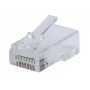 Intellinet 791090 RJ45 kištukas, skaidrus