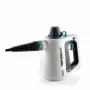 Ariete 4137/00 Nešiojamas garų valytuvas 0.25 L 1050 W Baltas, Šviesiai mėlynas