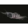 Nešiojamas dulkių siurblys Hoover Ultra Vortex MBC500UV 011 raudonas be maišelio