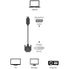 Techly ICOC DSP-C12-030P vaizdo kabelio adapteris 3 m DisplayPort DVI-D Juoda