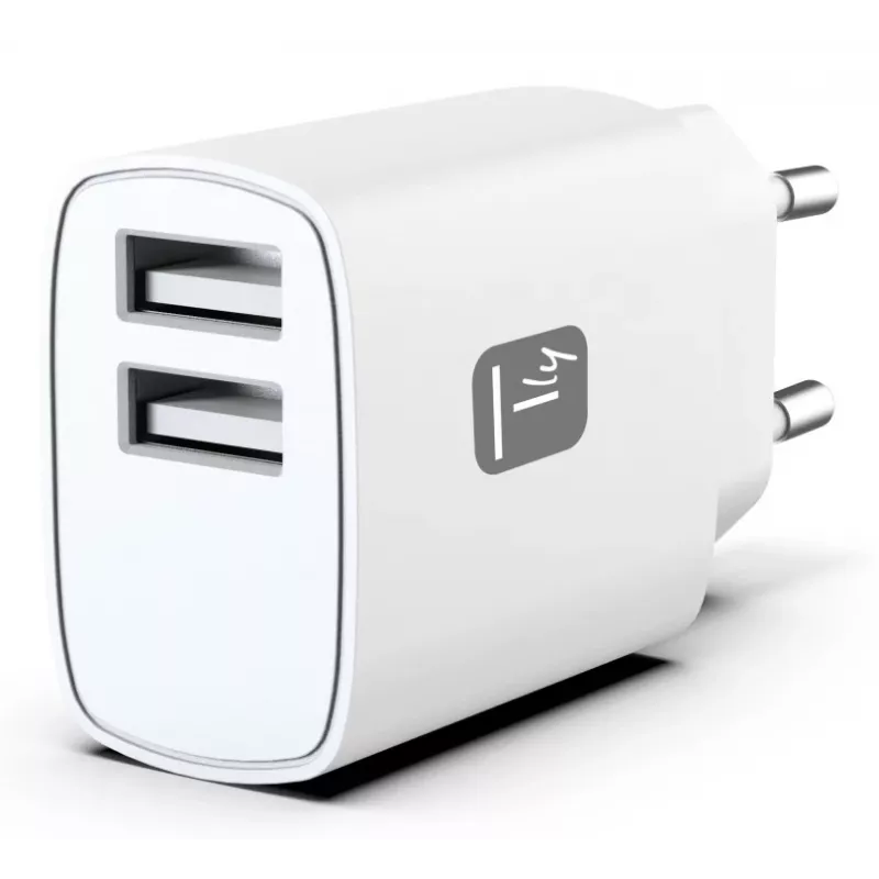 Techly IPW-USB-12W2A mobiliojo įrenginio įkroviklis – baltas, AC, 2×USB-A, 12 W