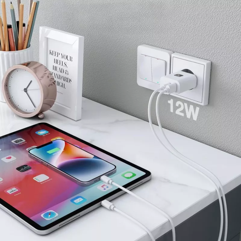 Techly IPW-USB-12W2A mobiliojo įrenginio įkroviklis – baltas, AC, 2×USB-A, 12 W