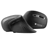 Techly IM 1100-VM-B vertikali pelė, RF belaidė, optinė, 3200 DPI, juoda